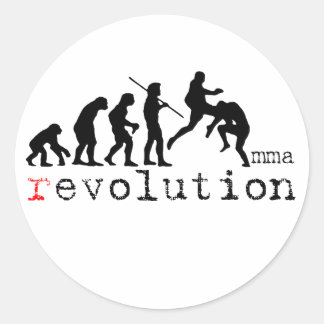 MMA Evolutiegrafiek Vliegende Knie Sticker