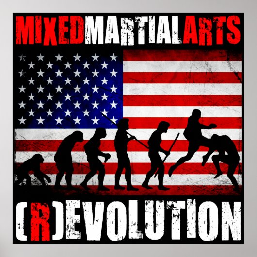 MMA - Evolution (Revolution) Chart Flag Poster (Voorkant)