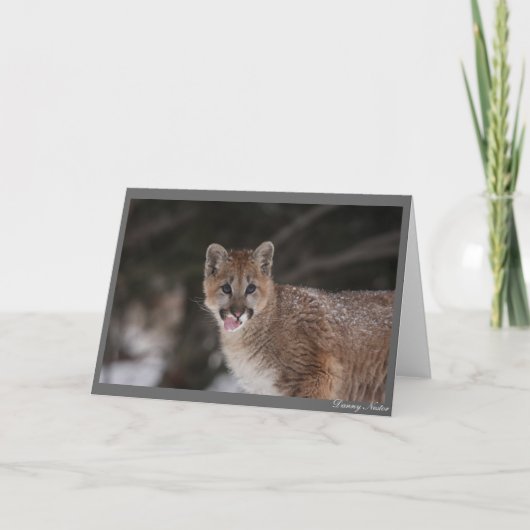 MMM! KAART (Voorkant)