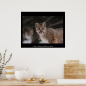 MMM - POSTER (Keuken)