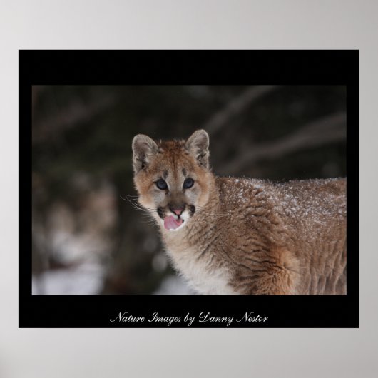 MMM - POSTER (Voorkant)