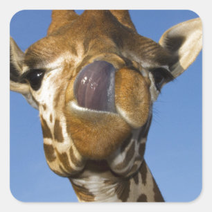 Mmmm Mmmm Goed Vierkante Sticker