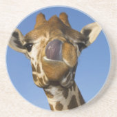 Mmmm Mmmmm Good Zandsteen Onderzetter (Voorkant)