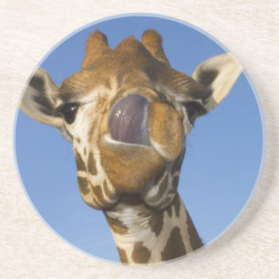 Mmmm Mmmmm Good Zandsteen Onderzetter