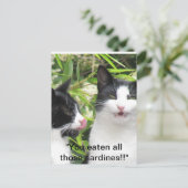 "mmmm sardines!!!!! briefkaart (Staand voorkant)