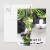 "mmmm sardines!!!!! briefkaart (Voorkant / Achterkant)