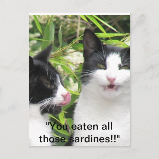 "mmmm sardines!!!!! briefkaart (Voorkant)