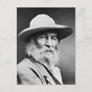 M'n kapitein. Walt Whitman Briefkaart