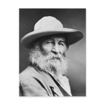 M'n kapitein. Walt Whitman
