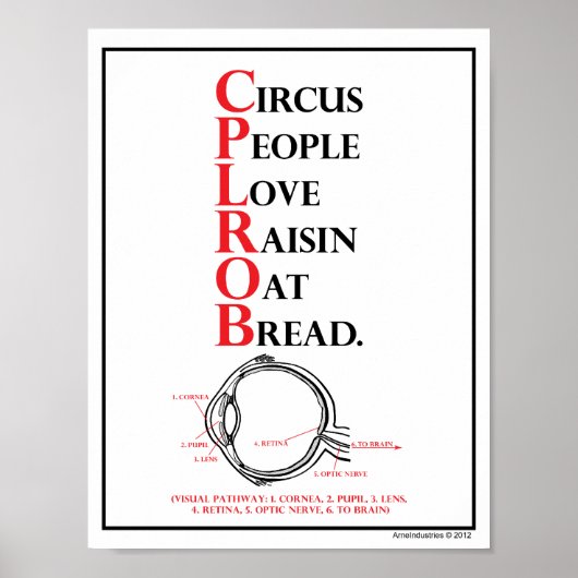 Mnemonic: Circus People Love = Visual Path Poster (Voorkant)