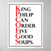 Mnemonic: King Philip = Soortidentificatie Poster (Voorkant)