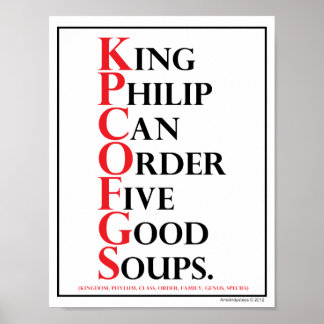 Mnemonic: King Philip = Soortidentificatie Poster