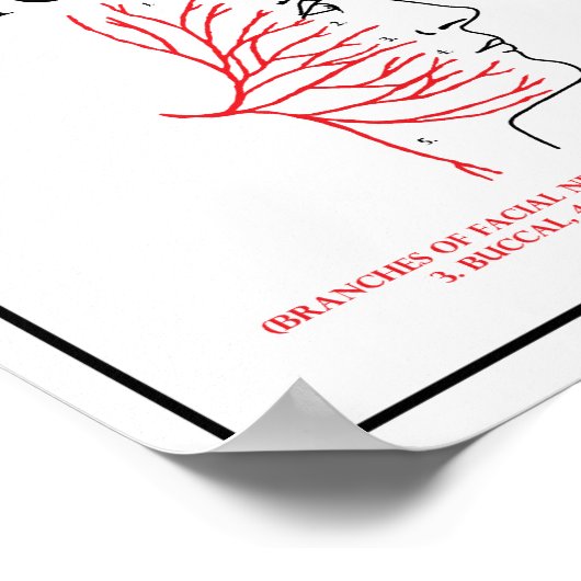 Mnemonic: naar Zanzibar met motorauto Poster (Hoek)