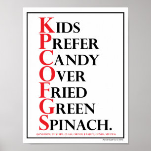 Mnemotechnisch: Kinder preferent Snoep - Poster