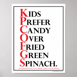 Mnemotechnisch: Kinder Snoep - Poster
