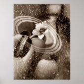 mni flor de pimentão poster (Voorkant)