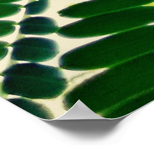 mni folha poster (Hoek)