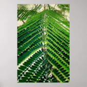 mni folha poster (Voorkant)