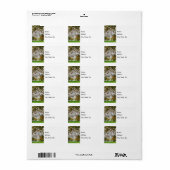MO Capitol Autumn Adres Label (Full Sheet)