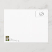 MO Capitol Herfst Dankjewel Ansichtkaart Briefkaart (Achterkant)