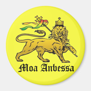 Moa Anbessa Magneet