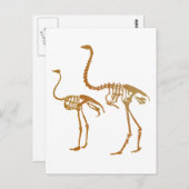 Moa en struisgras briefkaart (Voorkant / Achterkant)