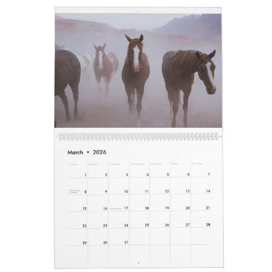 Moab Horses Kalender (Mar 2026)