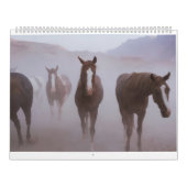 Moab Horses Kalender (Hoes)