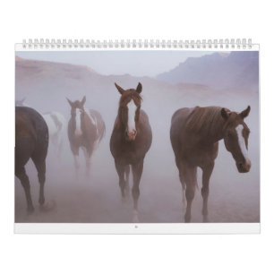 Moab Horses Kalender