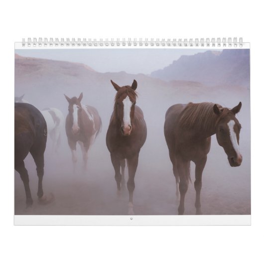 Moab Horses Kalender (Hoes)