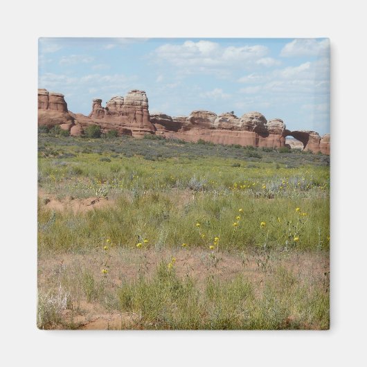 Moab-landschap Magneet (Voorkant)