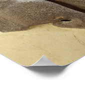 Moabite storm god, sjiitisch oeroud land van Moab, Poster (Hoek)