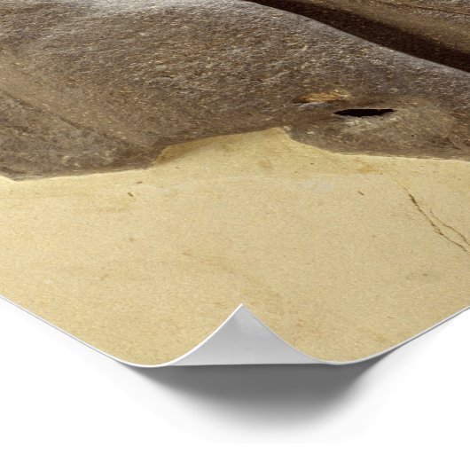 Moabite storm god, sjiitisch oeroud land van Moab, Poster (Hoek)