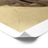 Moabite storm god, sjiitisch oeroud land van Moab, Poster (Hoek)