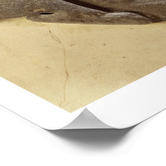 Moabite storm god, sjiitisch oeroud land van Moab, Poster (Hoek)