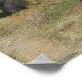 Moai op Paaseiland Poster (Hoek)