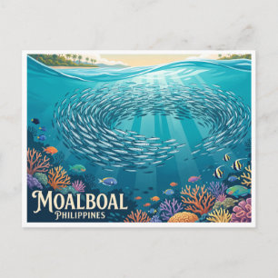 Moalboal Sardine Run Filipijnen Briefkaart
