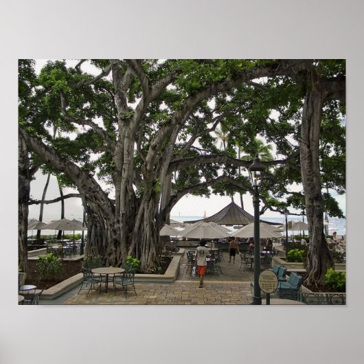 Moana Surfrider Banyan Court - Waikiki Beach Poster (Voorkant)