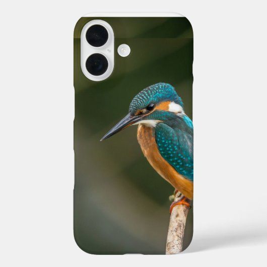 Mobiele telefooncel Case-Mate iPhone case (Achterkant)