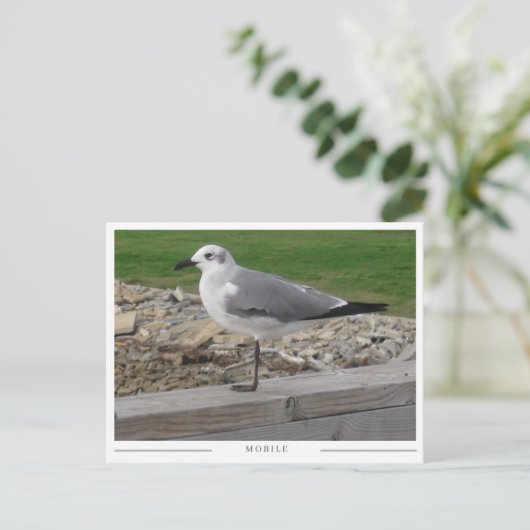 Mobile Alabama Seagull Briefkaart (Staand voorkant)