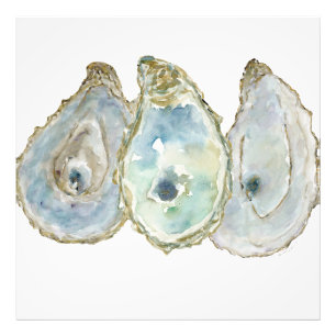 Mobile Bay Oesters-3 Foto Afdruk