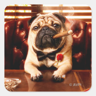 Mobster Dog Vierkante Sticker