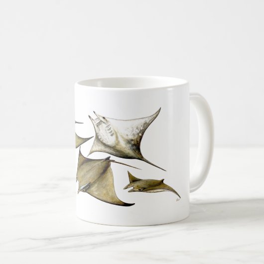 Mobula tarapacana - Chilean Devil Mantas Koffiemok (Voorkant rechts)