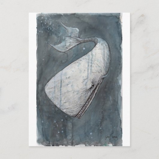 Moby Dick Briefkaart (Voorkant)
