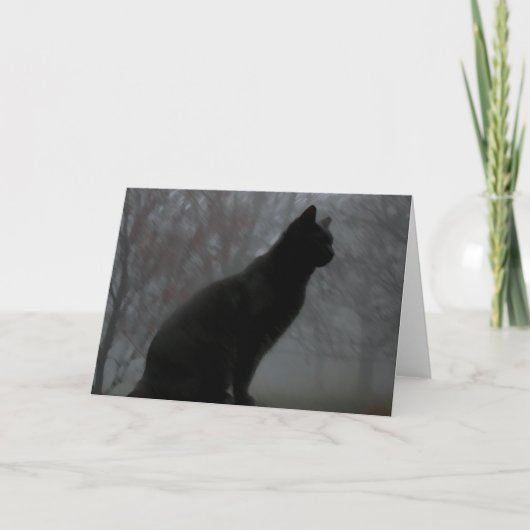 Moby in mist kaart (Voorkant)