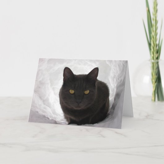 Moby in sneeuw kaart (Voorkant)