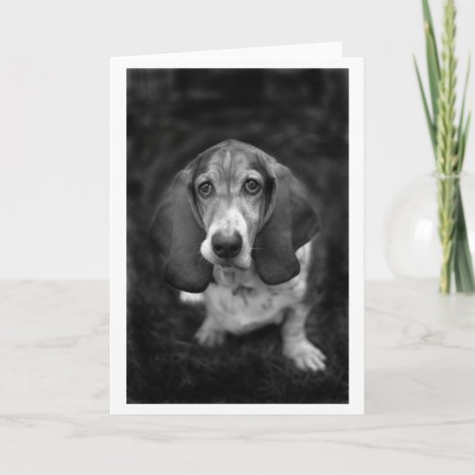 Mocca de Basset Kaart (Voorkant)