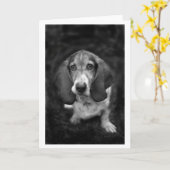 Mocca de Basset Kaart (Gele Bloem)
