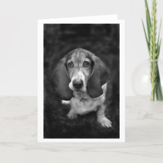 Mocca de Basset Kaart