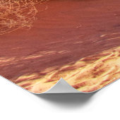 Moccasin Arch Poster (Hoek)